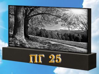 Памятник горизонтальный ПГ25