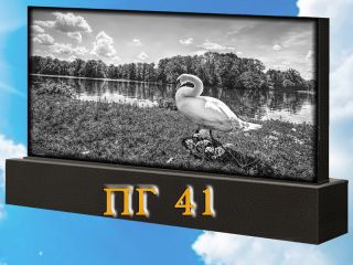 Памятник горизонтальный ПГ41